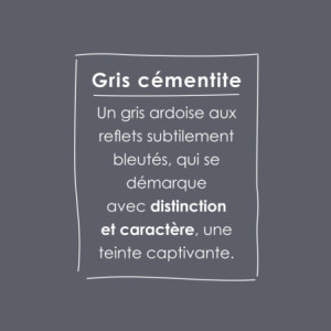 O'PUR TESTEUR GRIS CEMENTITE SATIN VELOUTE 0,075L