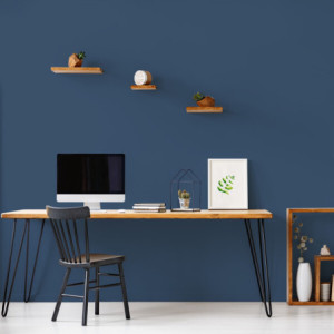 TESTEUR BLEU DE BERING VELOURS 0,075L