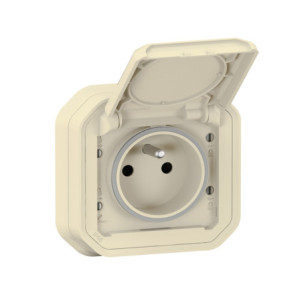 PLEXO PRISE DE COURANT STANDARD F/B - BEIGE - ENCASTRÉ