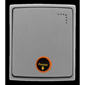 BOUTON POUSSOIR VOYANT GRIS OROK