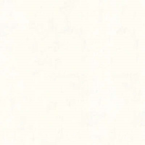 Papier peint expansé intissé texturé aspect Used Look - Blanc