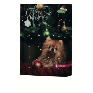 CALENDRIER DE L'AVENT POUR CHIEN